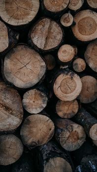 Close-up view of a stack of chopped wooden logs in Minsk, Belarus.