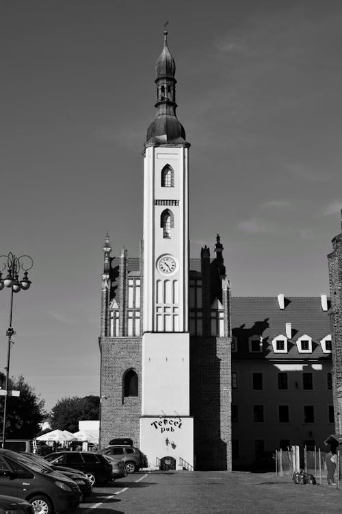 ratusz, 건물, 건축의 무료 스톡 사진