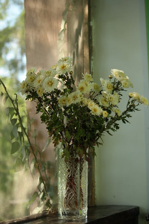 Kostenloses Stock Foto zu blumen, blumenvase, chrysantheme