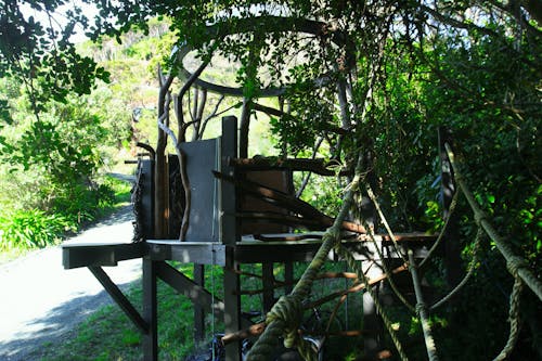 Free stock photo of nature, rope bridge, treehouse