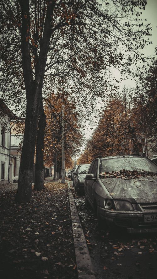 Free Seasonal scene of cars parked along a leaf-strewn street during a moody autumn day. Stock Photo