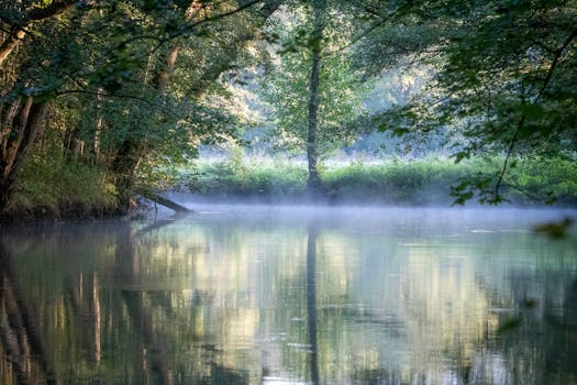 A serene forest scene with mist reflecting on a tranquil lake during daylight.