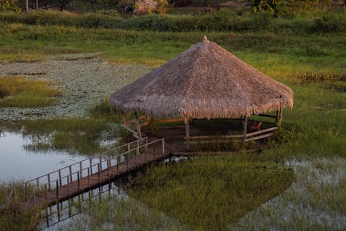 Foto stok gratis bidang, nipa hut, pedesaan