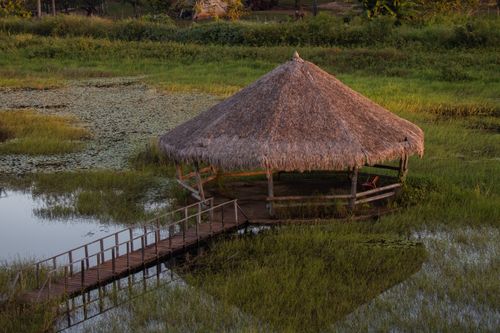 Free A peaceful nipa hut over a waterbody in the grassy rural countryside at twilight. Stock Photo