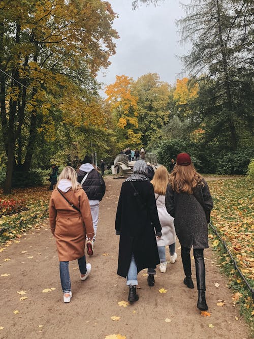 Back View of People Walking 