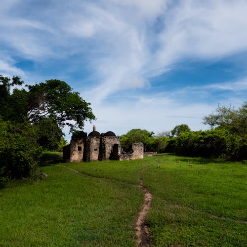 Foto stok gratis Afrika, biru, hijau