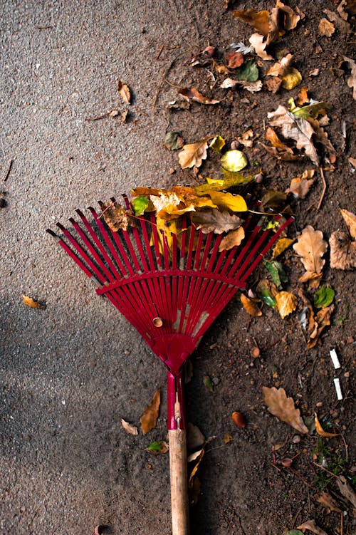 A Miniature Rake in a Sandbox · Free Stock Photo