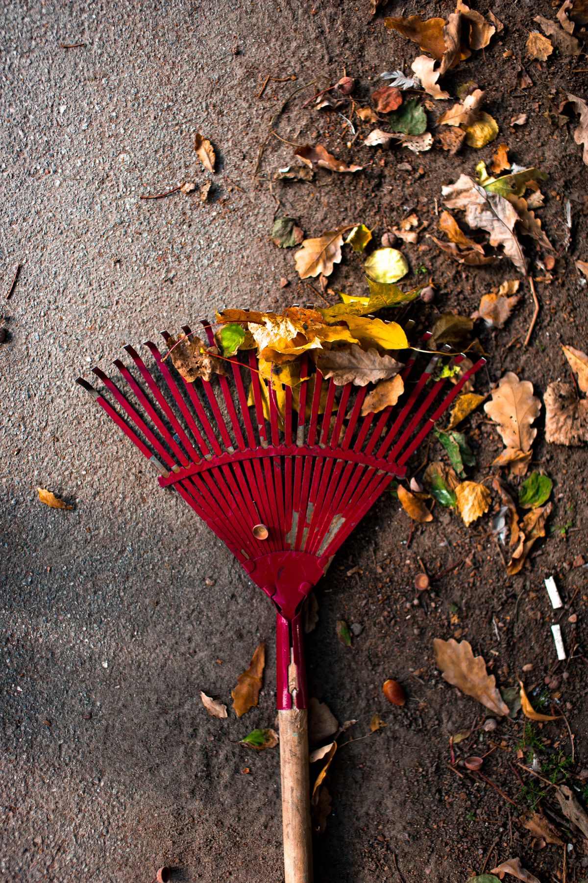 Garden Cleaning