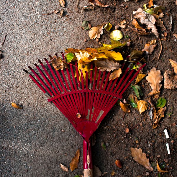 Adjustable Garden Rake