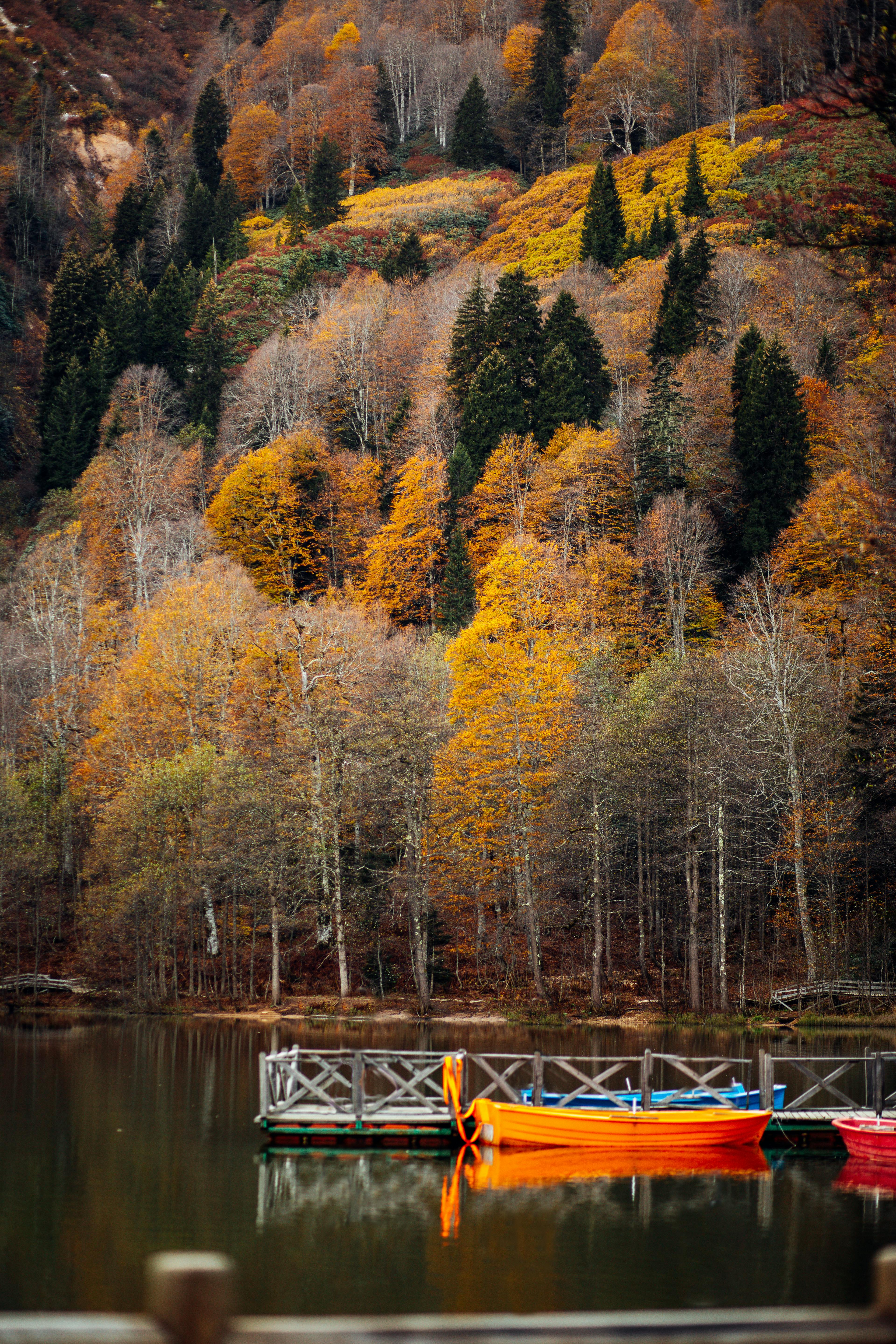 boats at pier in autumn mountains landscape