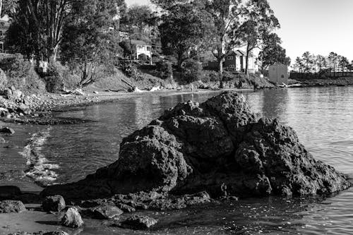 Fotos de stock gratuitas de a orillas del lago, blanco y negro, erosión