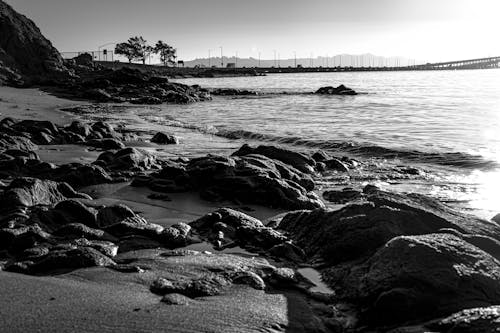 Grayscale Photo of Rocks on a Seashore