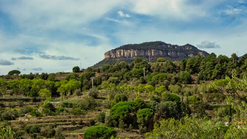 Fotos de stock gratuitas de al aire libre, arboles, formaciones geológicas