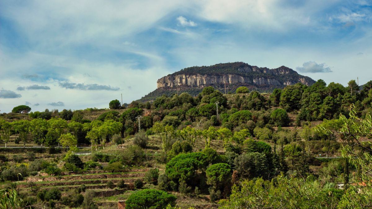 Masías en el Ripollès