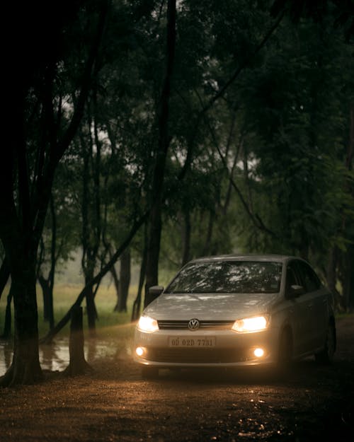 Volkswagen on the Forest