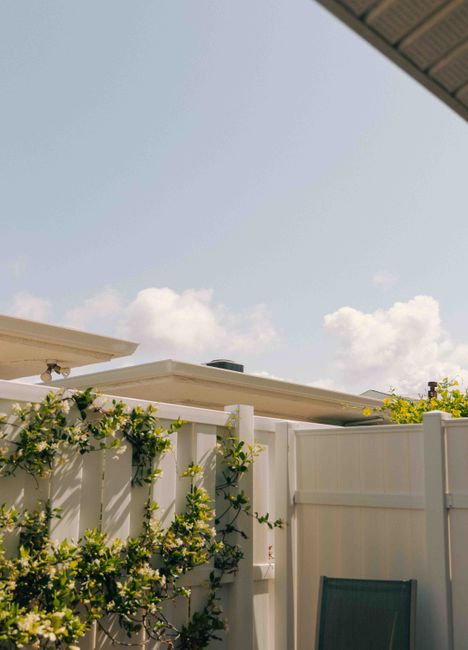 Photo by Chris Kim Creatives on Pexels Bright backyard view with a white fence, green climbing plants, and clear sky.