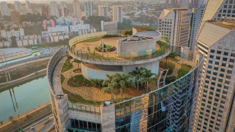 Garden On City Skyscraper Rooftop