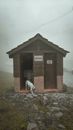 Dog Walking Out of the Restroom