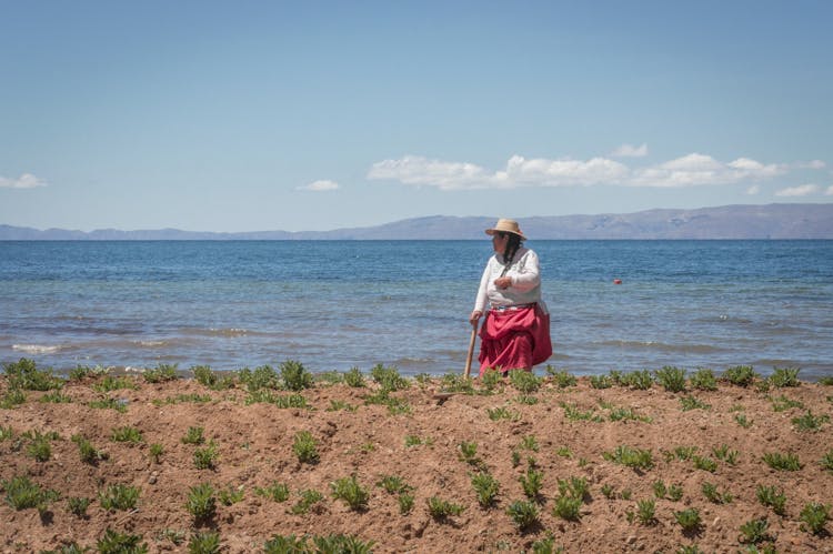 Old Woman Walking On Beach Near Sea