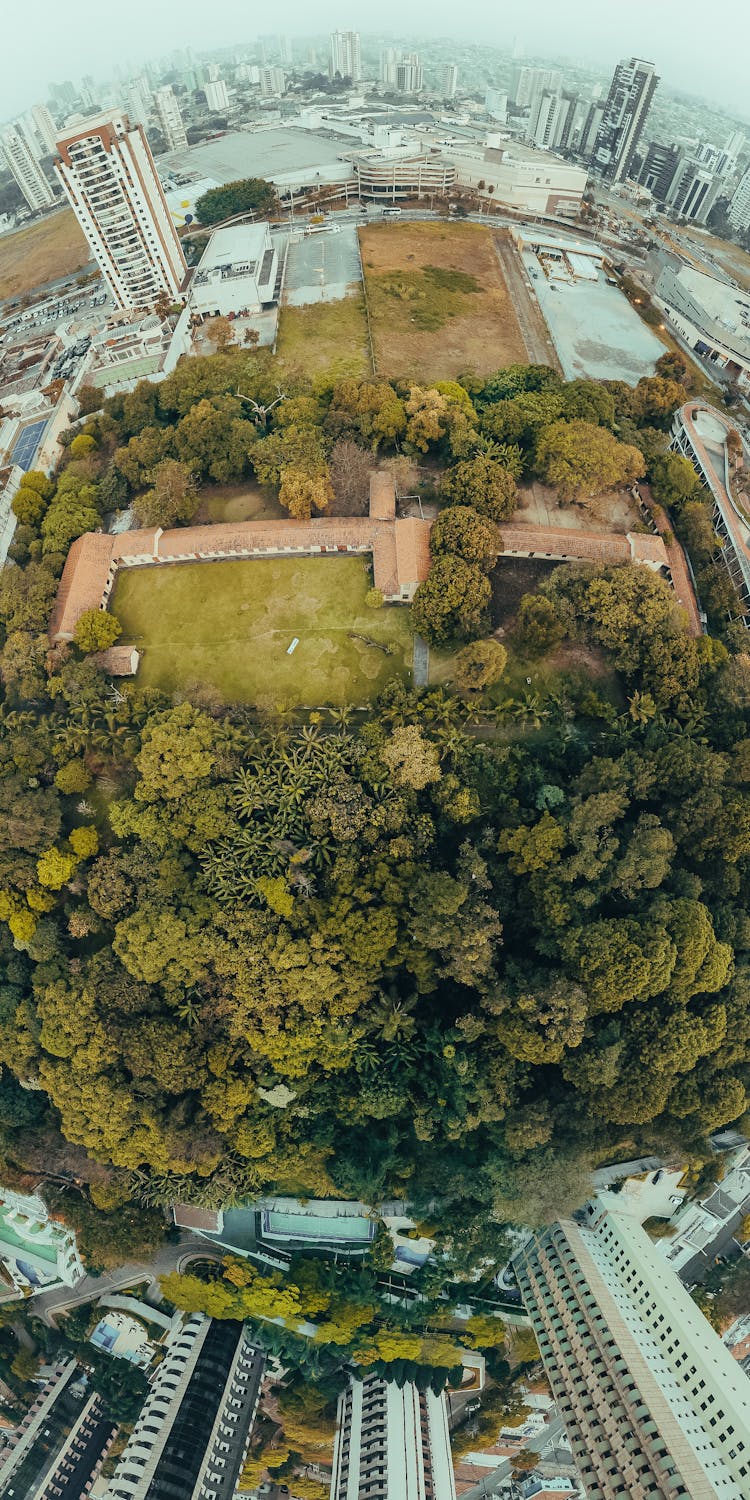 Spherical Picture Of A Park And Buildings In City 