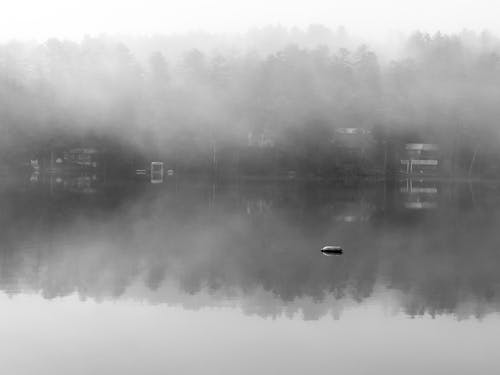 Free stock photo of fog, lake