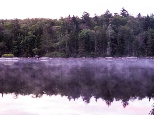 Free stock photo of lake, reflection
