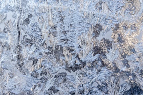 Frost Patterns on Frozen Window