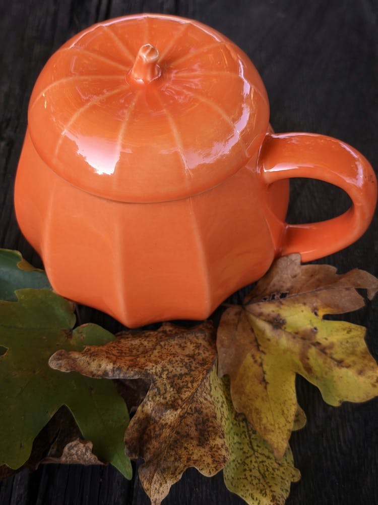 Pumpkin Mug With Autumn Leaves On Table