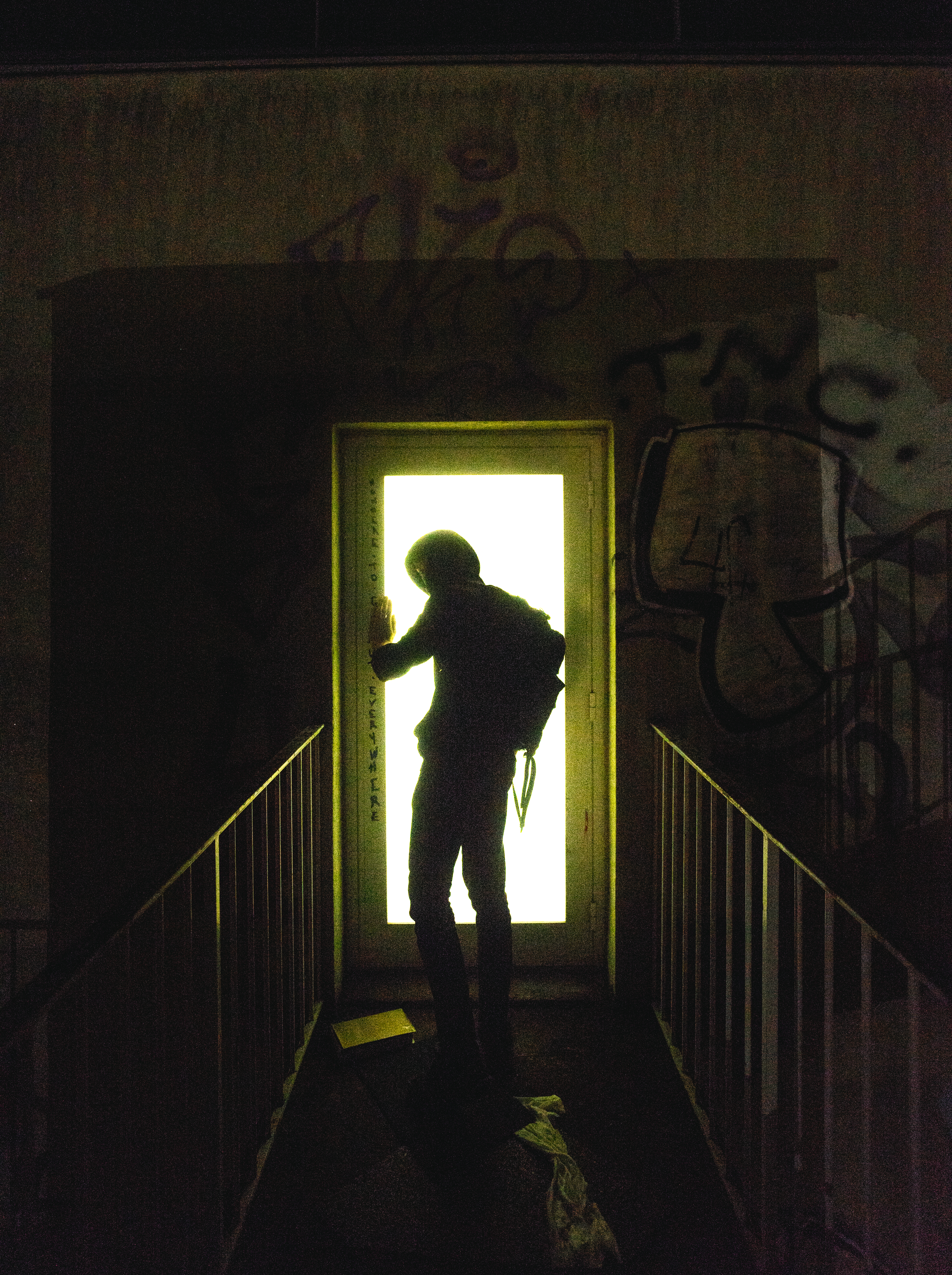 Silhouette of a Person Looking Back · Free Stock Photo