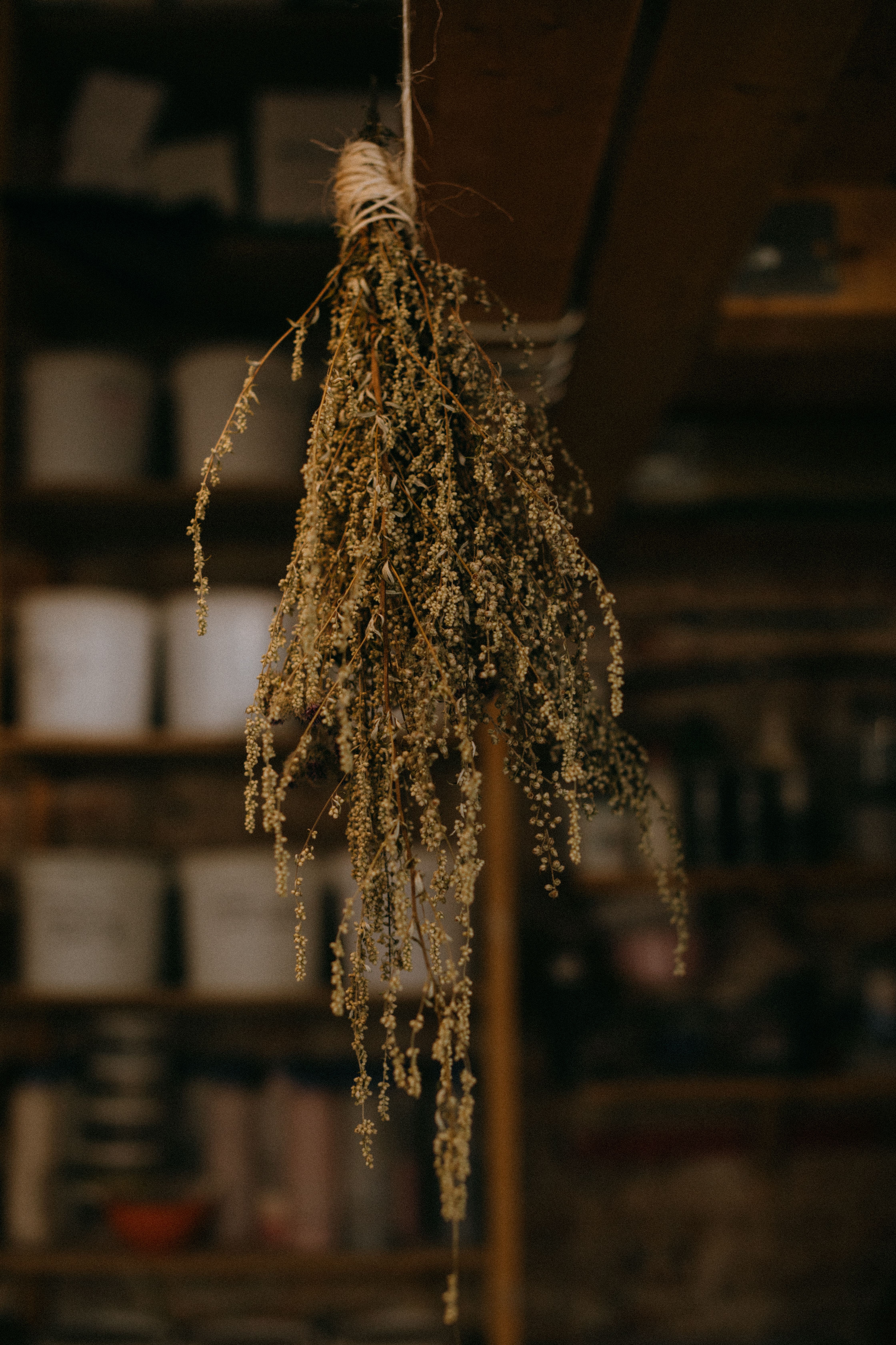 A bundle of dried flowers hanging in a rustic indoor setting with a warm atmosphere.