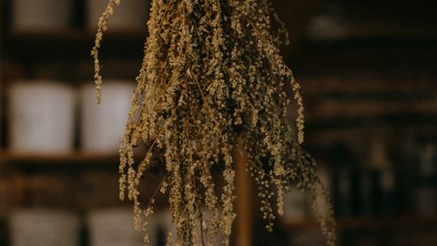 A bundle of dried flowers hanging in a rustic indoor setting with a warm atmosphere.