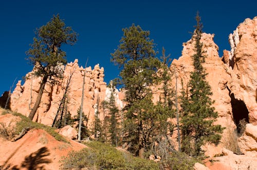 Free stock photo of blue, bryce, canyon