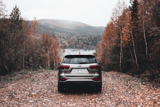 A Kia SUV is parked on a rocky path amidst a vibrant autumn forest with colorful foliage.