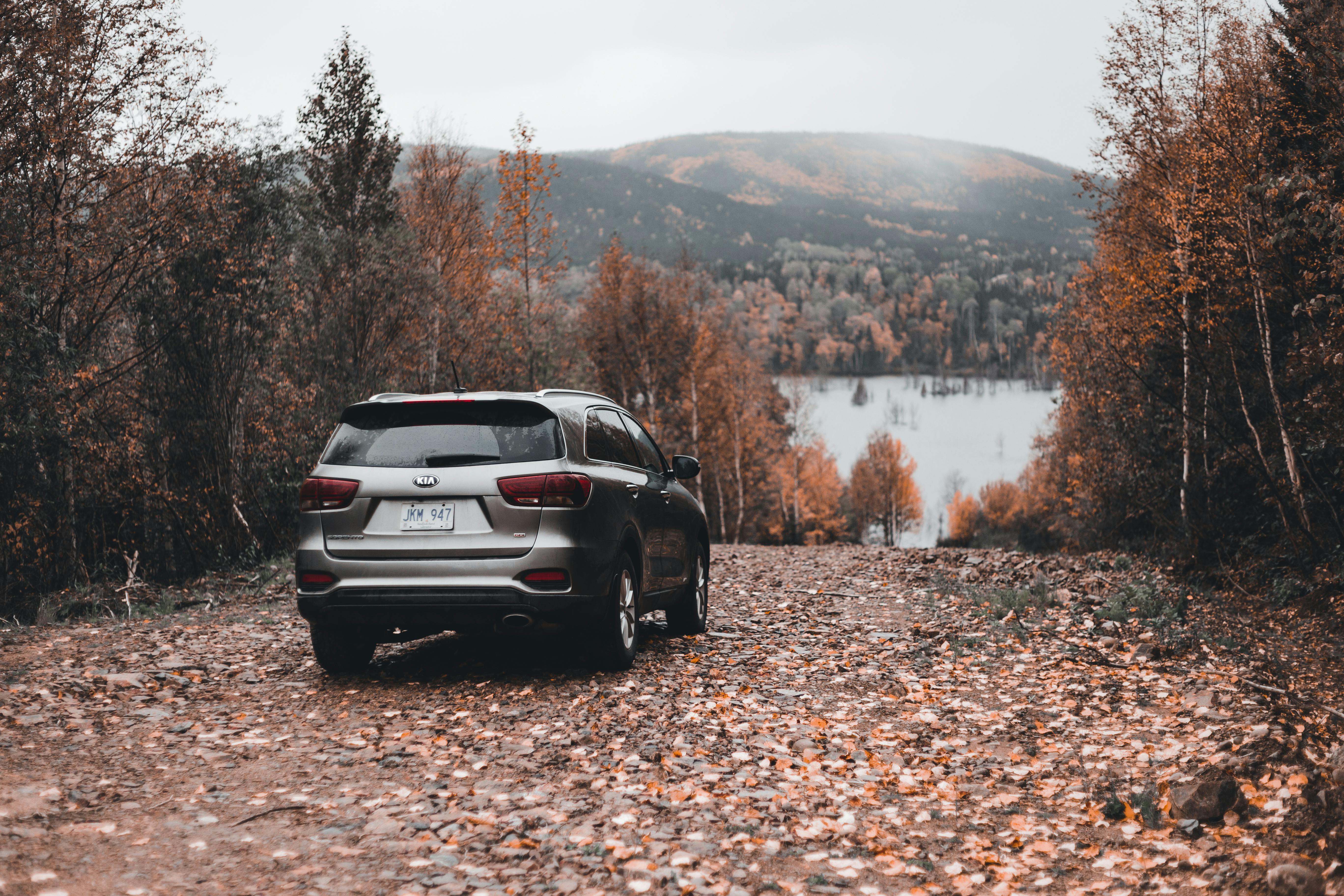 Toyota recalls 550,000 Highlander SUVs because seat backs may fail to lock — Photo by Erik Mclean on Pexels
