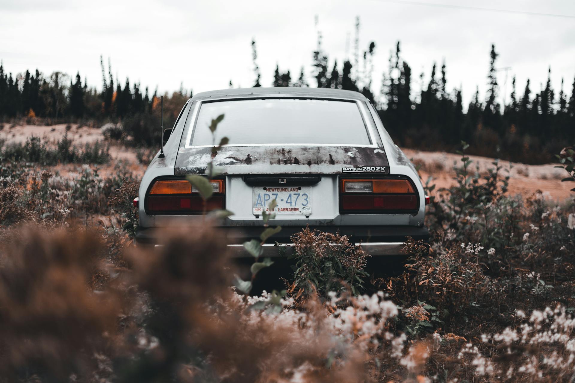 Back View of a Junk Car