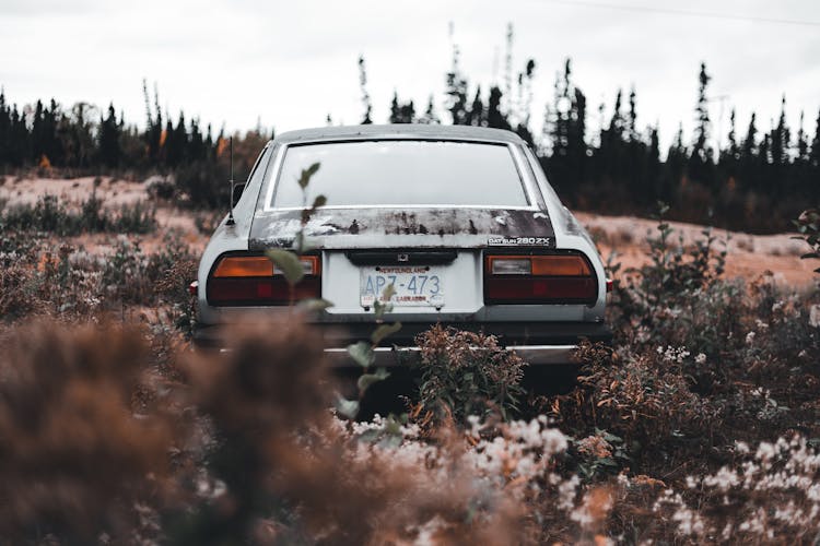 Back View Of A Junk Car