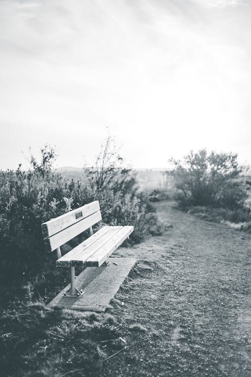 Fotobanka s bezplatnými fotkami na tému čierna a biela, čiernobiely, drevená lavička