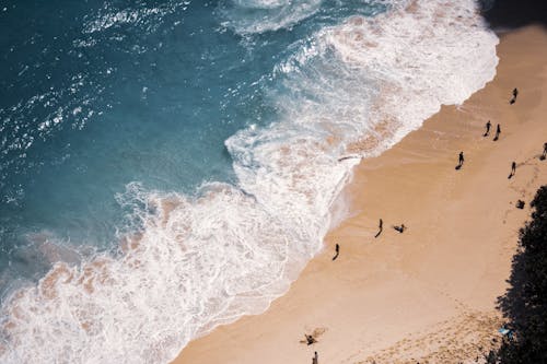 An Aerial Shot of a Beach