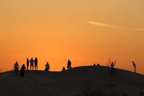 Silhouette of People Standing the Hill Top