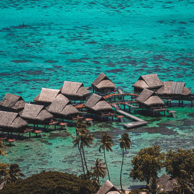 Vacation Packages