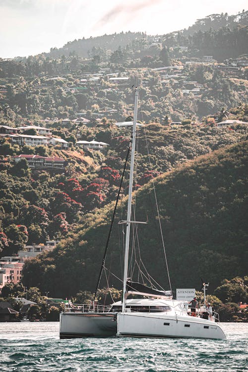 White Sailboat on Sea