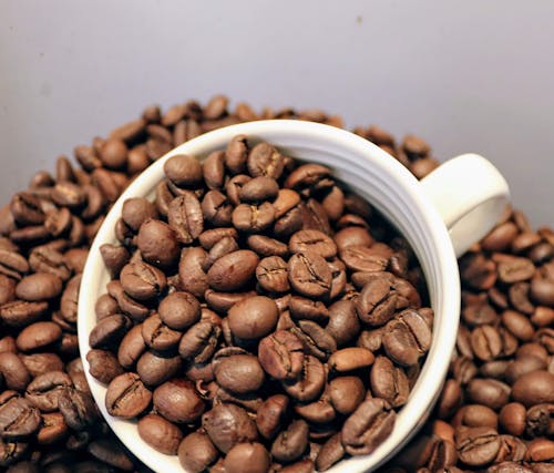 Free stock photo of ceramic cup, coffee, coffee bean Stock Photo