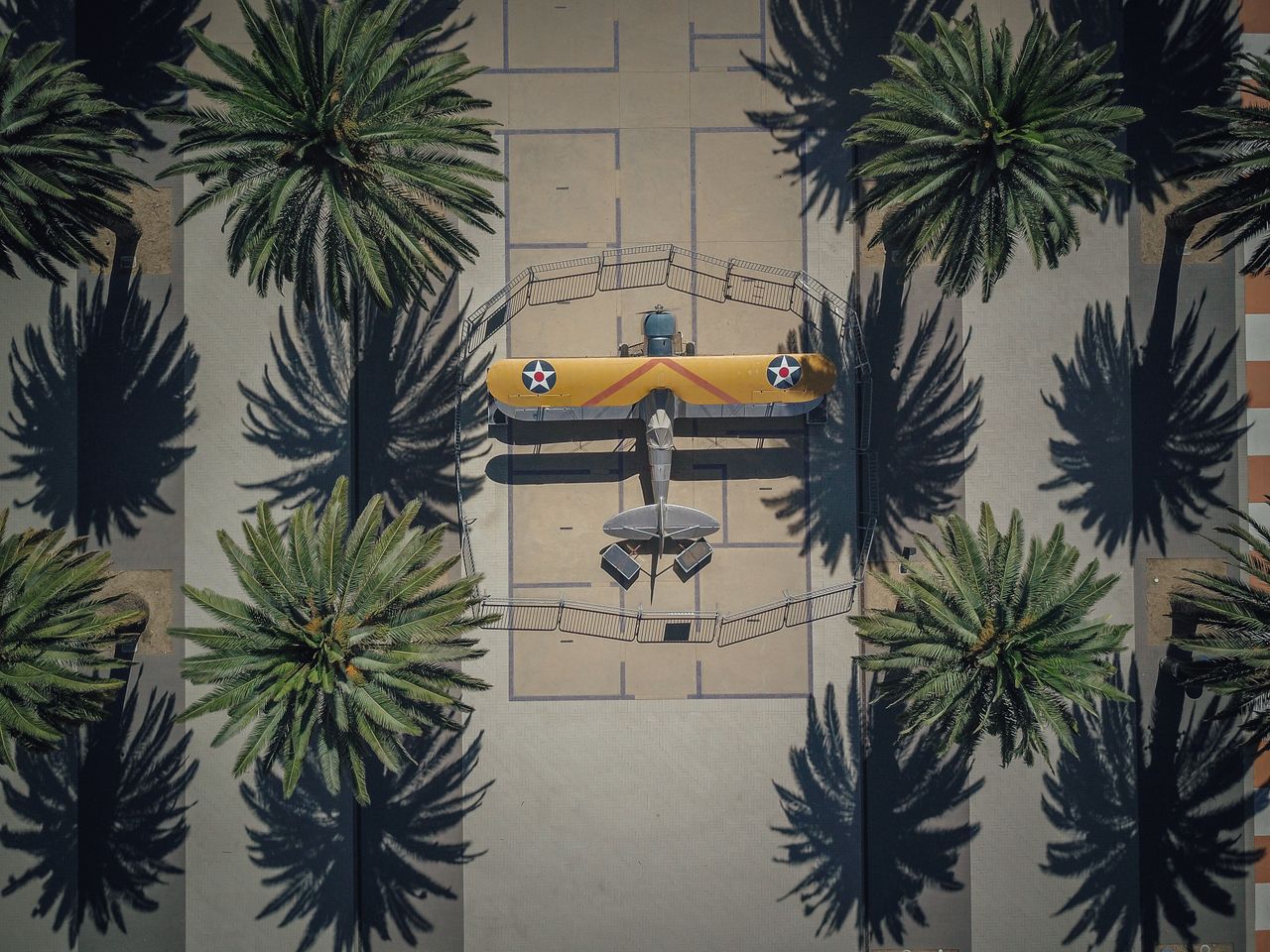 a vintage biplane captured from above framed by palm trees casting sha