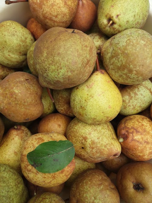 Green and Brown Pears