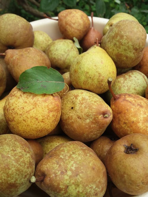 Close-up Photo of Fresh Pears