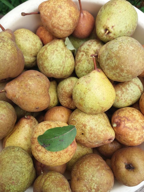 Fresh Pears on a Basin