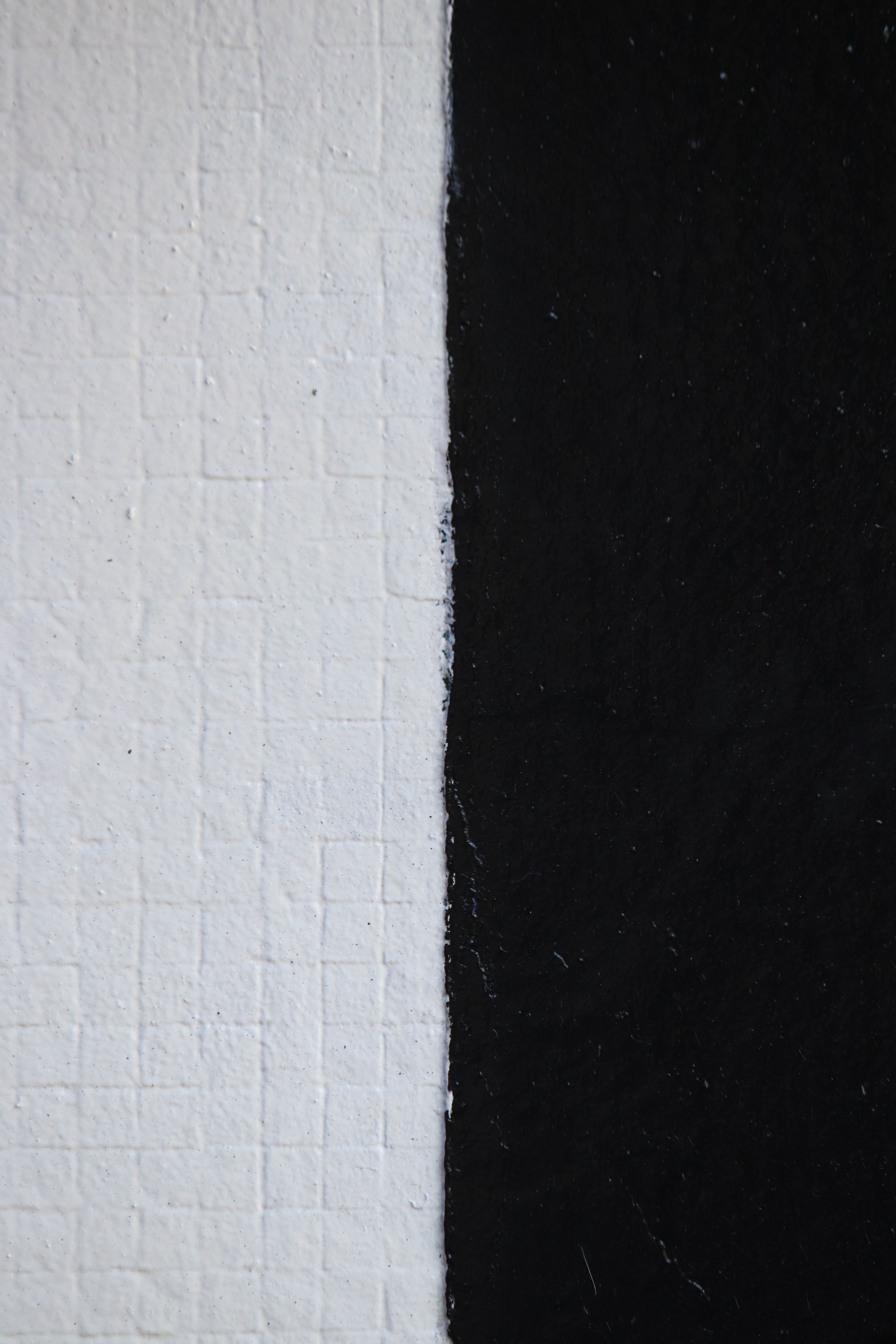 Close-up of black and white textured wall surface with distinct color separation.