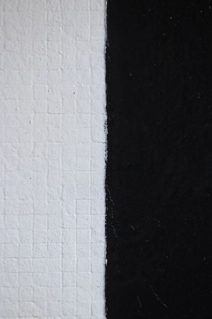 Close-up of black and white textured wall surface with distinct color separation.