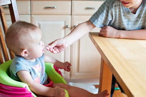 Free Baby's Green and Purple Highchair Stock Photo