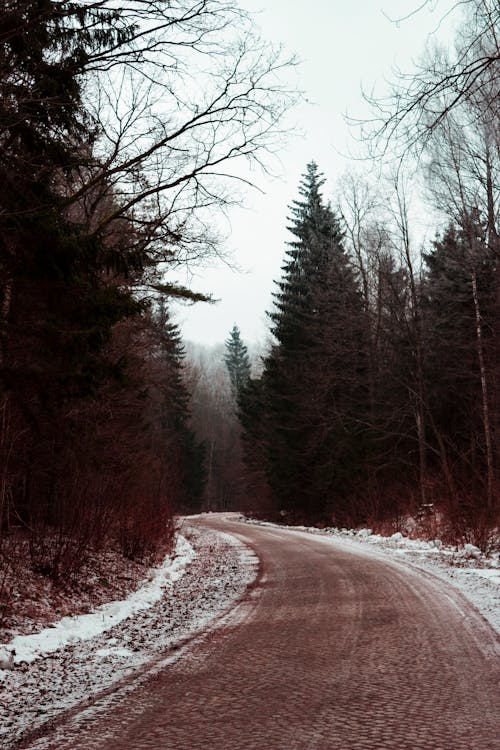 Ilmainen kuvapankkikuva tunnisteilla flunssa, jää, jäätynyt